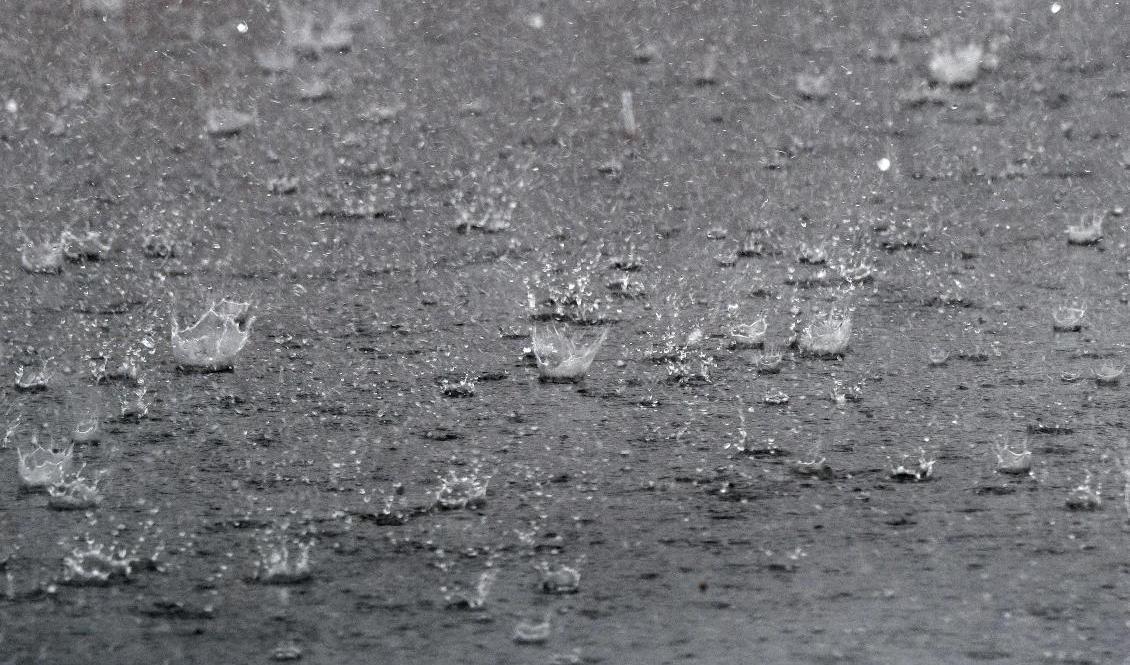 Snart förbyts sommarhettan i regn och svalare temperaturer. Foto: Johan Nilsson/TT-arkivbild