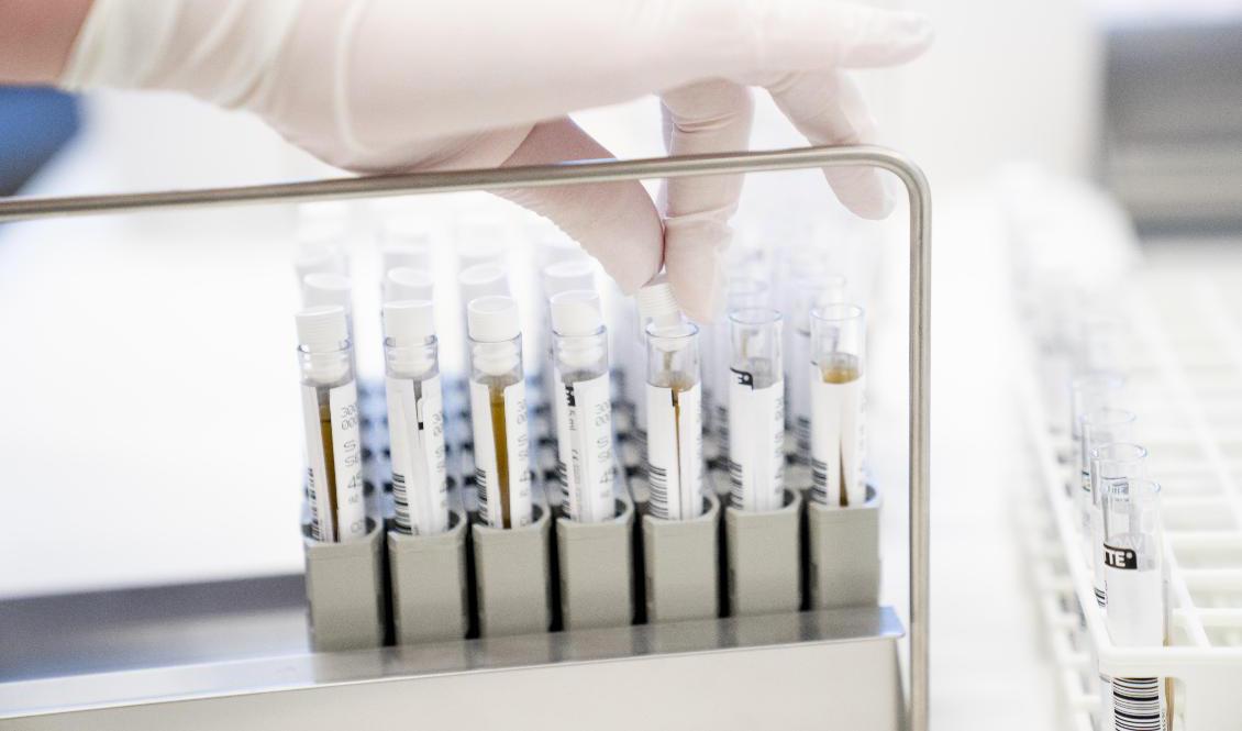 Omkring 1|000 coronatester som skickats till ett labb i Uppsala har blivit försenade och kommit på villovägar. Foto: Stian Lysberg Solum-arkivbild