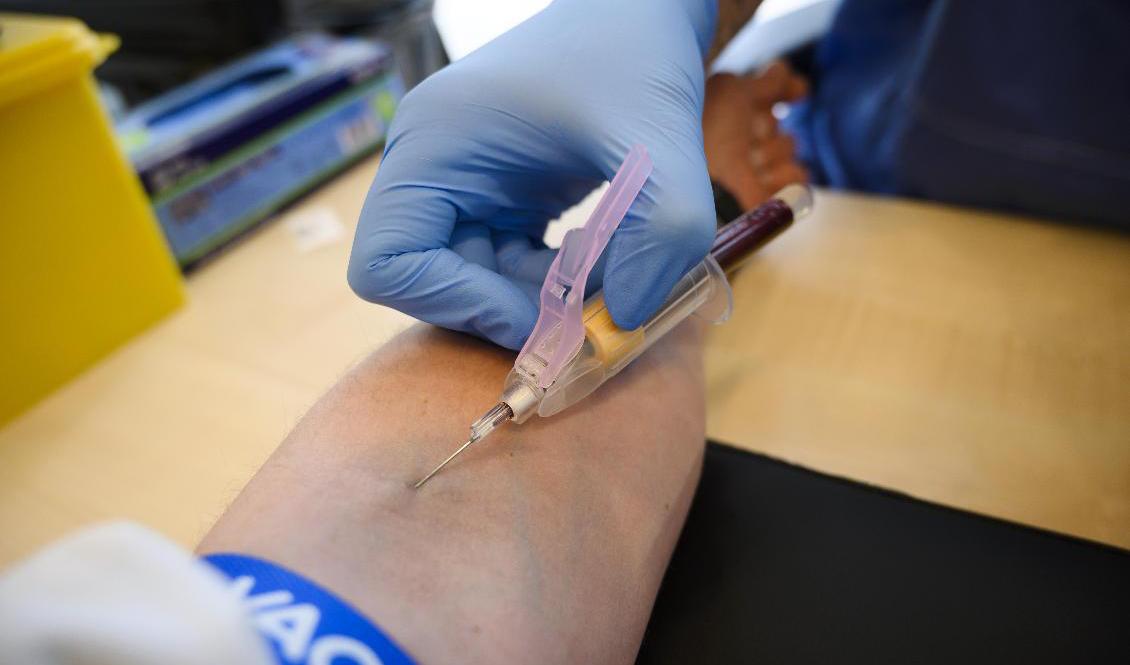 Pensionärernas riksorganisation är kritisk mot att inte alla regioner prioriterar antikroppstester. Foto: Henrik Montgomery/TT