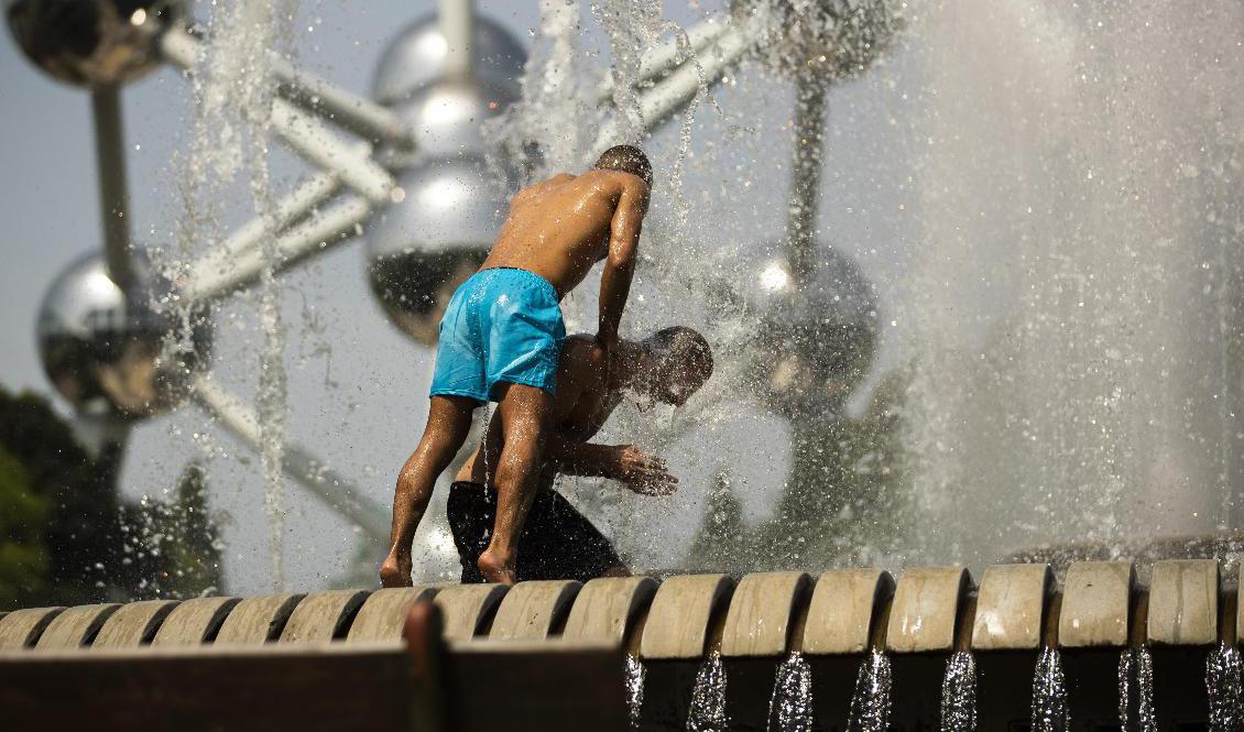 Fontänbad vid Atomium i Bryssel under sommaren 2019. Foto: Francisco Seco/AP/TT-arkivbild