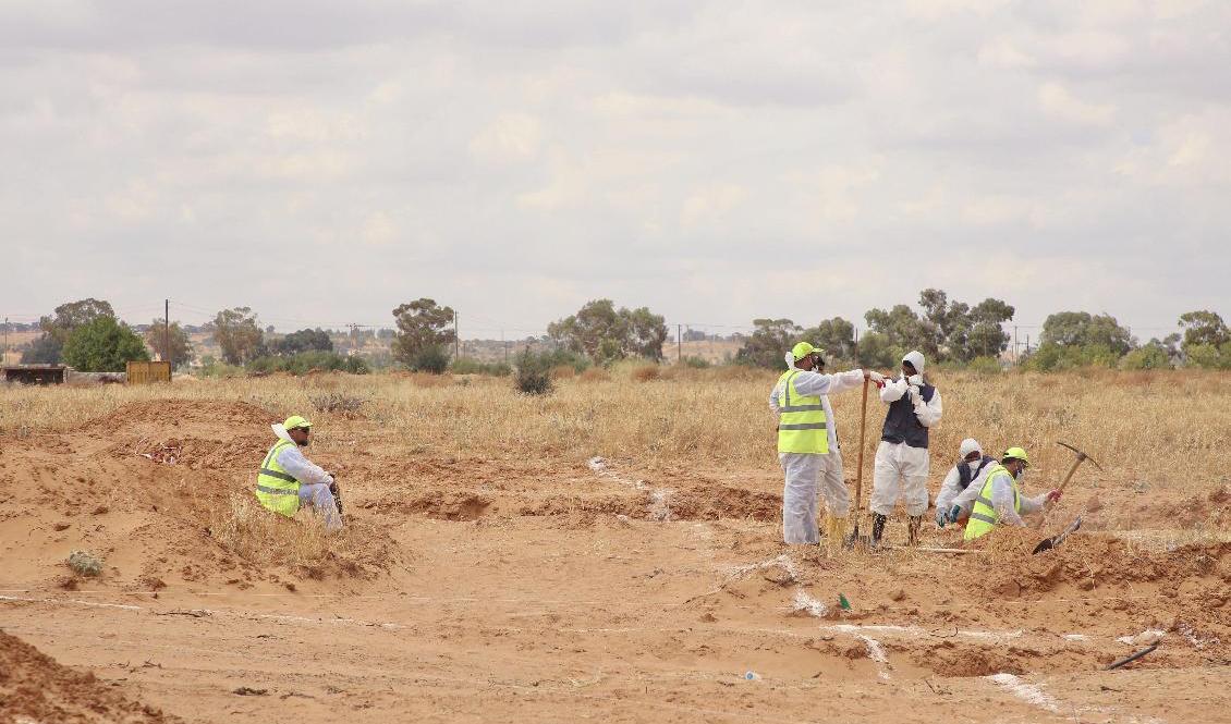 Representanter för Libyens regering i Tripoli undersöker misstänkta massgravar i den pågående konflikten. Foto: Hazem Ahmed/AP/TT-arkivbild