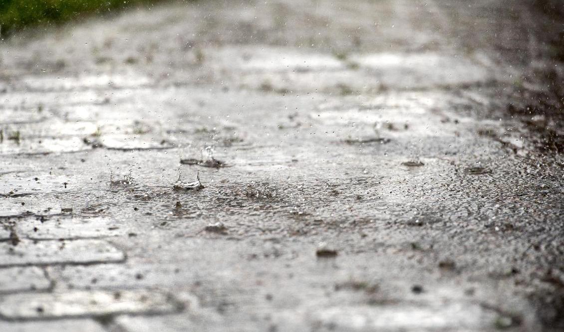 Framför allt fredagen bjuder på mycket regn. Foto: Marcus Ericsson/TT-arkivbild
