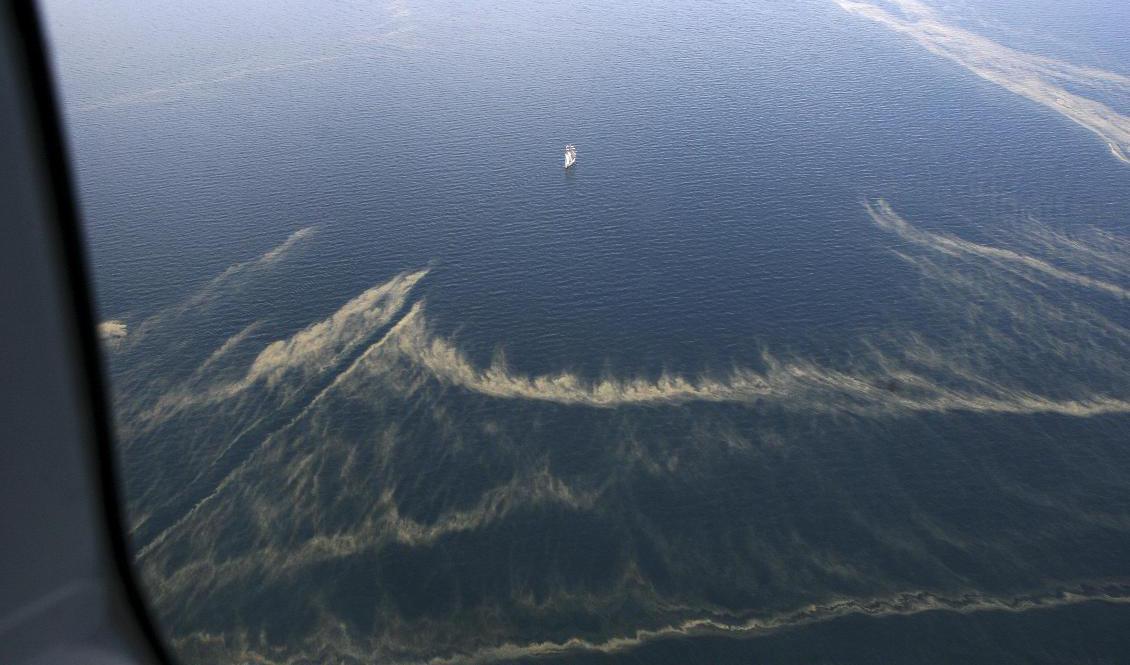 Nu blommar algerna längst upp i Bottenviken. Algerna på bilden kommer dock från Sydsverige. Foto: KUSTBEVAKNINGEN / TT-arkivbild