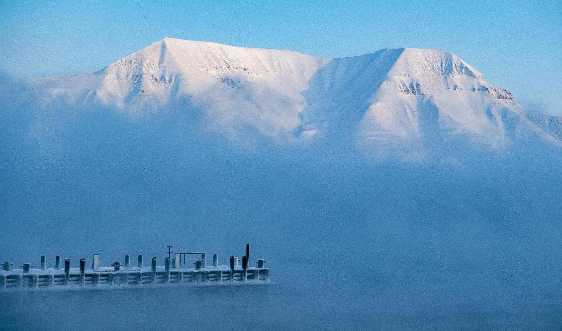 Det är 20 grader varmt i Svalbard. Foto: Jonas Ekströmer/TT-arkivbild
