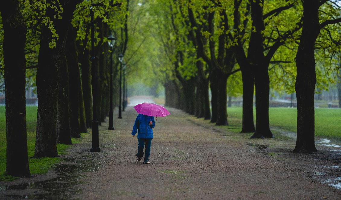 Låga temperaturer och regn har dominerat juli månad i Sverige. Foto: Stian Lysberg Solum-arkivbild