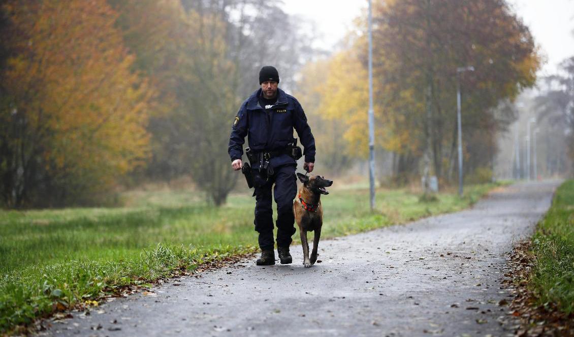 Polisen behöver ofta lägga ner mycket resurser på personer som anmäls försvunna. Ett nytt projekt i polisregion Syd ska försöka minska antalet försvinnanden. Foto: Thomas Johansson/TT-arkivbild