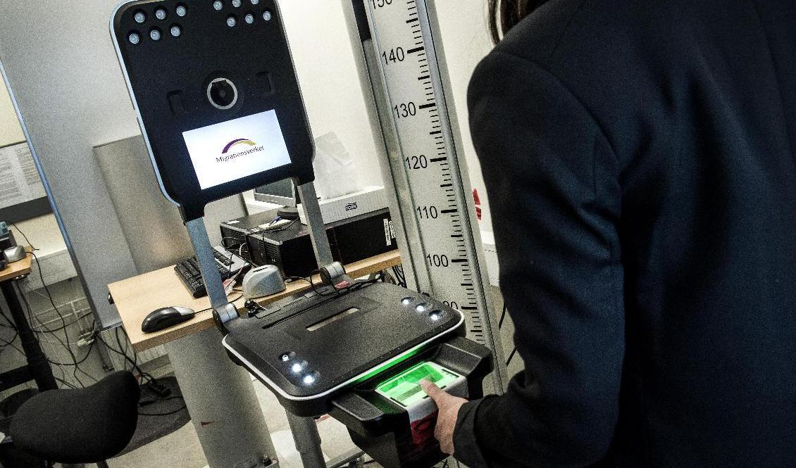 Migrationskommittén föreslår ett betänkande som rekommenderar att den skärpta lagstiftning som funnits sedan 2015 i stort sett blir kvar, rapporterar Ekot. Foto: Marcus Ericsson/TT-arkivbild