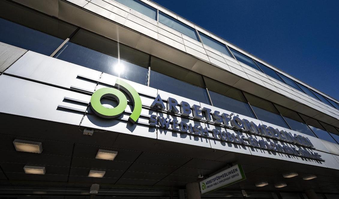 "Krisen har slagit hårt mot branscher som ofta har ingångsjobb åt unga", säger Marcus Löwing, arbetsmarknadsanalytiker på Arbetsförmedlingen. Foto: Johan Nilsson/TT-arkivbild