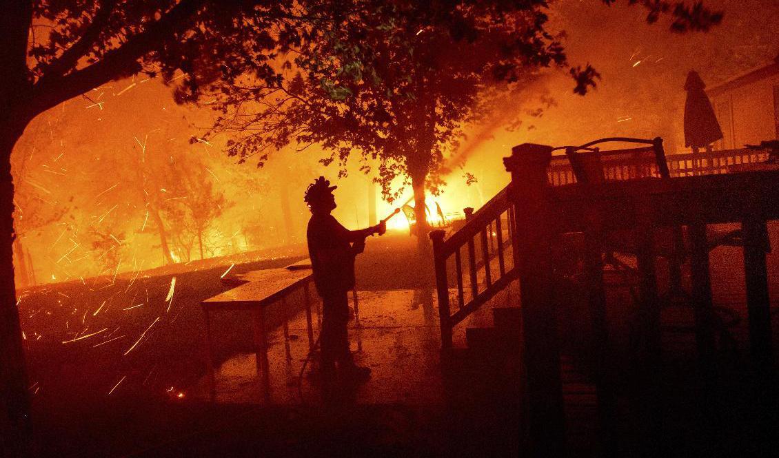 En brandman i Vacaville, i den amerikanska delstaten Kalifornien, kämpar mot lågorna. Foto: Noah Berger/AP/TT