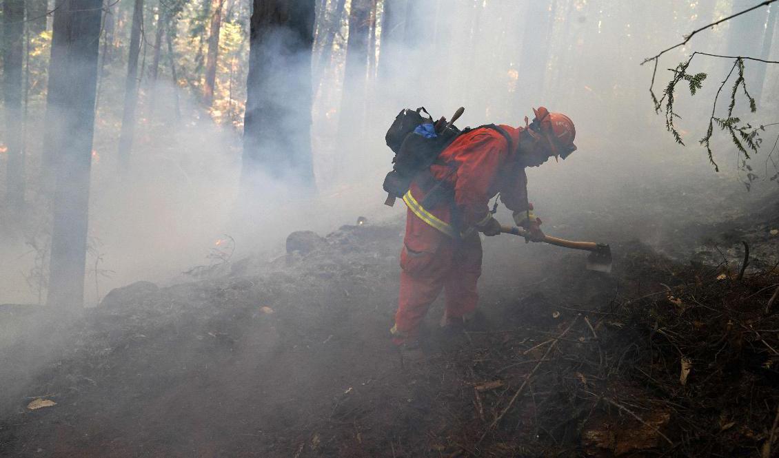 En brandman kämpar mot eld och rök i Bonny Doon, Kalifornien under fredagen. Foto: Marcio Jose Sanchez/AP/TT