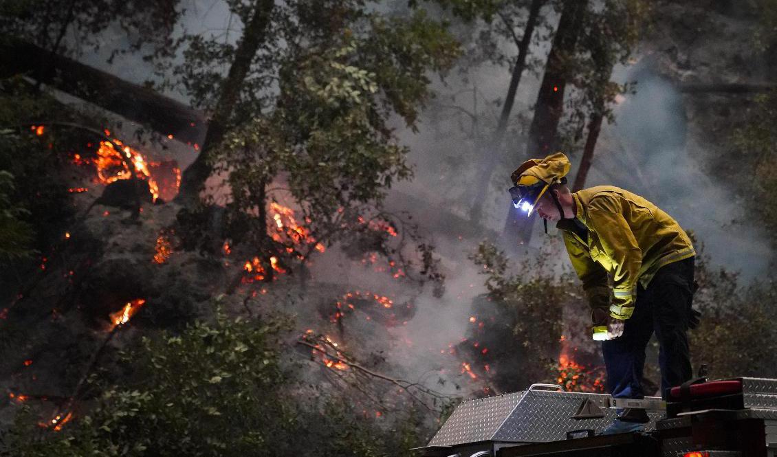 En brandman i Kalifornien kämpar mot elden. Foto: Marcio Jose Sanchez/AP/TT