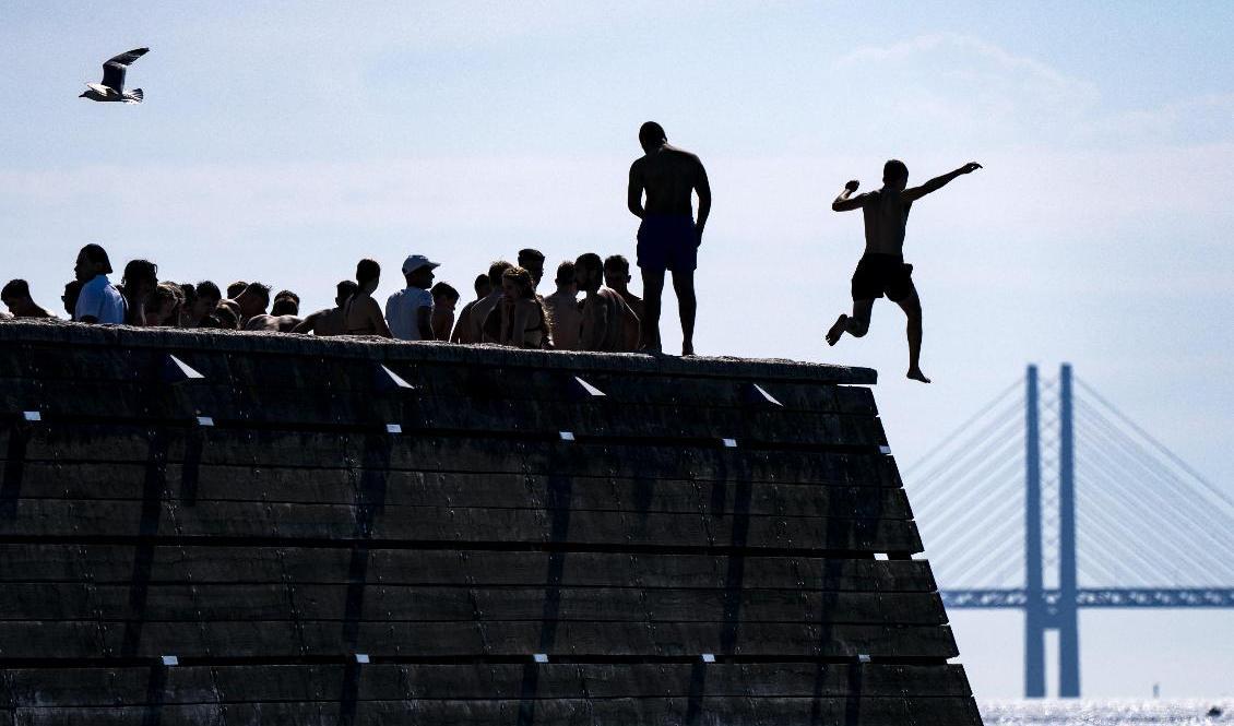 Det var högsommarvärme i stora delar av Sverige under augusti. Arkivbild. Foto: Johan Nilsson/TT