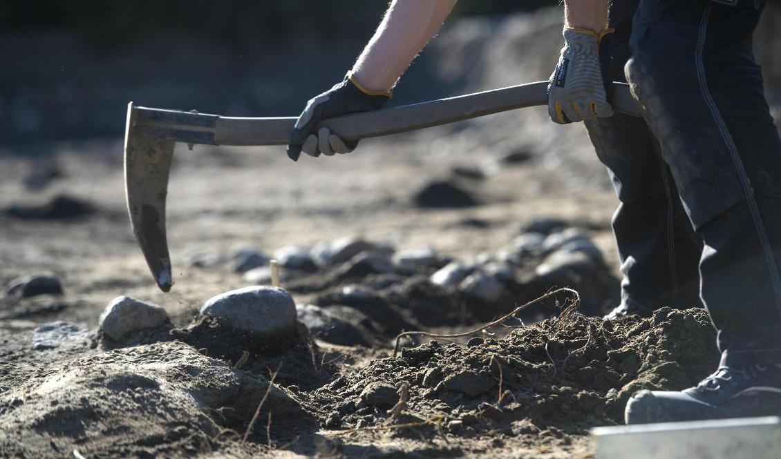 Det som tros vara en av Norrbottens äldsta boplatser ska under september undersöktas närmare av bland annat arkeologer vid Norrbottens museum. Arkivbild. Foto: Fredrik Sandberg/ TT