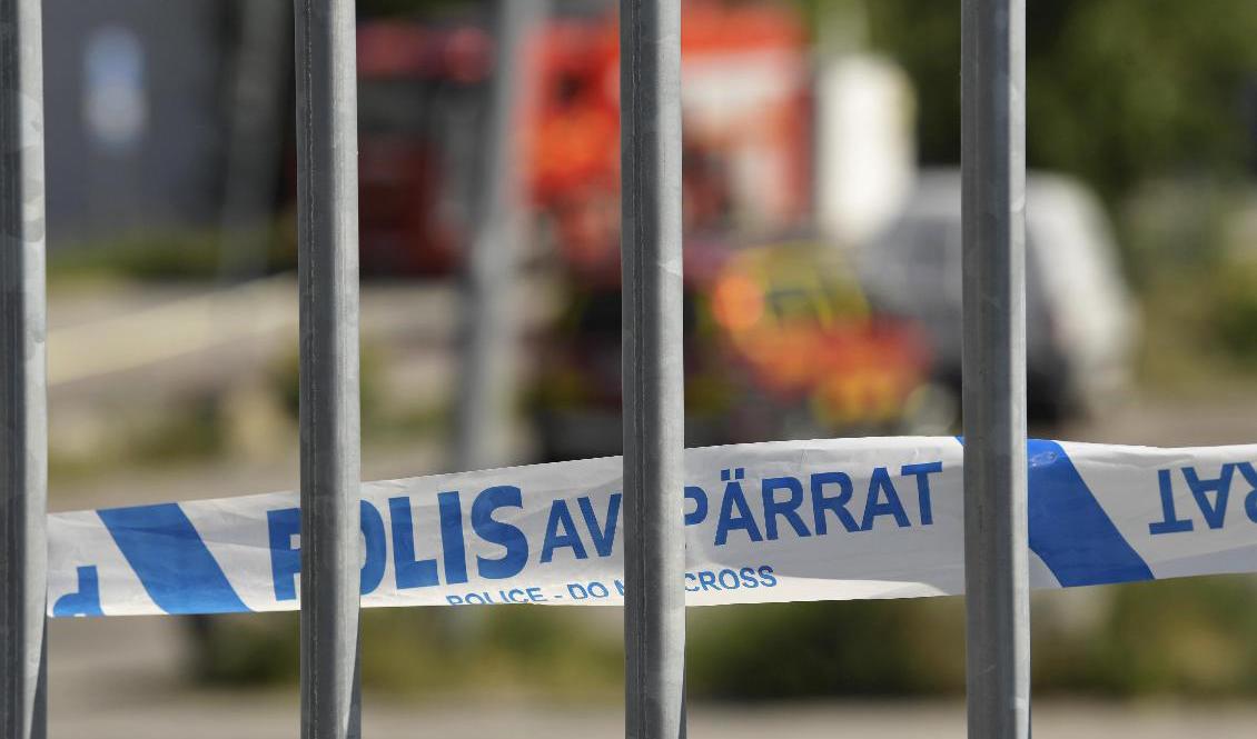 Släckningsarbetet vid sågverksbranden i Västergötland väntas pågå minst ett dygn. Arkivbild. Foto: Pontus Lundahl/TT