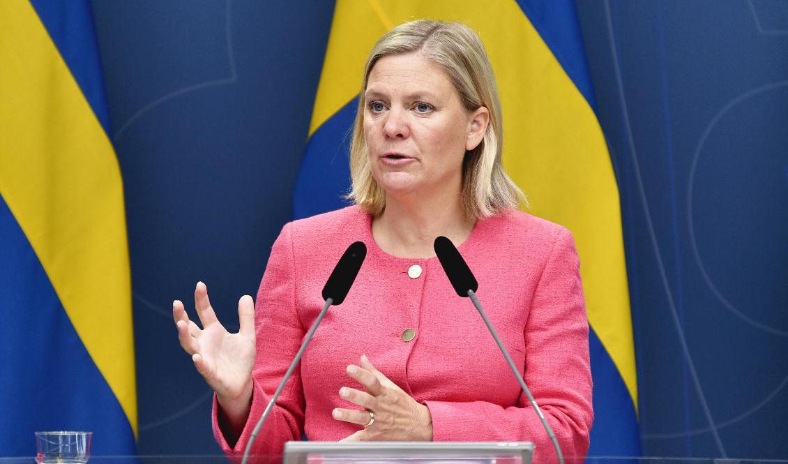 Regeringen och samarbetspartierna är överens om att satsa 189 miljoner på att stoppa bidrags- och skattefusk. Arkivbild. Foto: Henrik Montgomery/TT