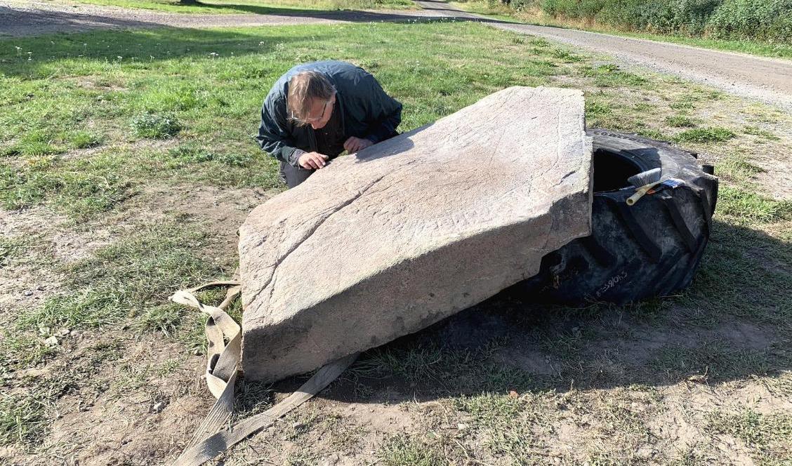 Runolog Magnus Källström, Riksantikvarieämbetet, studerar den nyupptäckta runstenen i Loftahammar i Småland. Foto: Ingemar Lundgren/Västerviks Museum