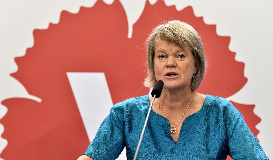 Vänsterpartiets ekonomisk-politiske talesperson Ulla Andersson vill införa en progressiv kapitalskatt. Arkivbild. Foto: Jessica Gow/TT