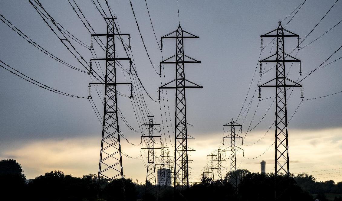 Nya kraftledningsgator planeras i Mellansverige. Arkivbild. Foto: Johan Nilsson/TT