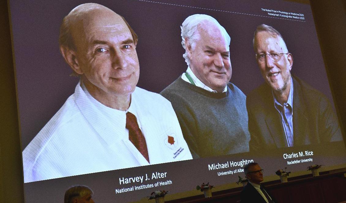 Harvey J Alter, Michael Houghton och Charles M Rice tilldelas årets Nobelpris i fysiologi eller medicin. Pristagarna presenteras av Nobelkommitténs ordförande Thomas Perlmann under en pressträff på Karolinska institutet i Stockholm. Claudio Bresciani/TT