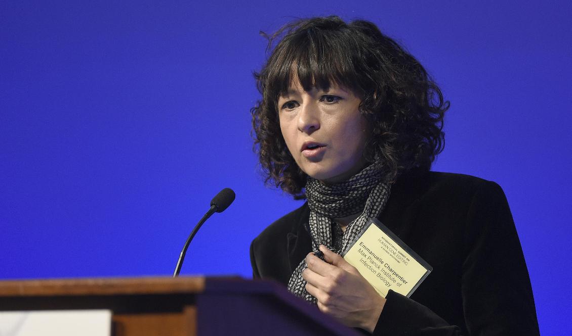 Emmanuelle Charpentier är verksam vid Max Planck-institutet i Berlin, Tyskland. Arkivbild. Foto: Susan Walsh