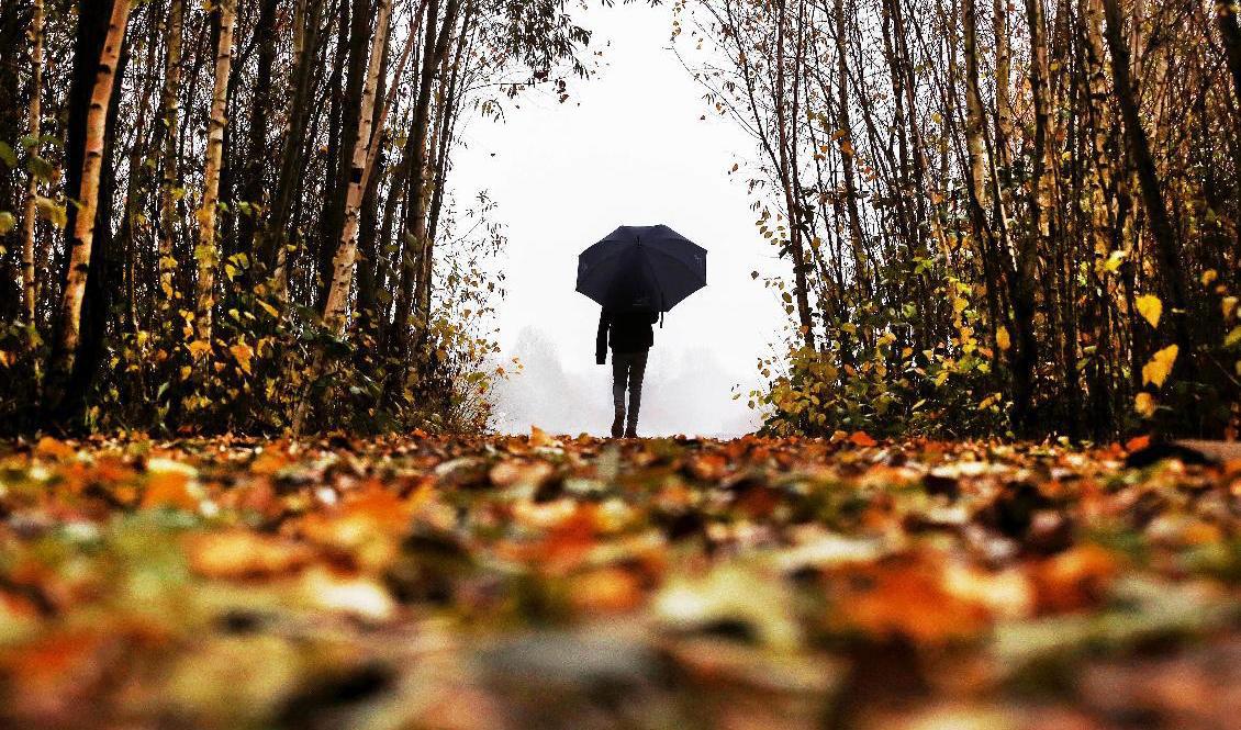 Den meteorologiska hösten rör sig söderut och tar mer och mer av landet i sitt grepp. Arkivbild. Foto: Michael Probst