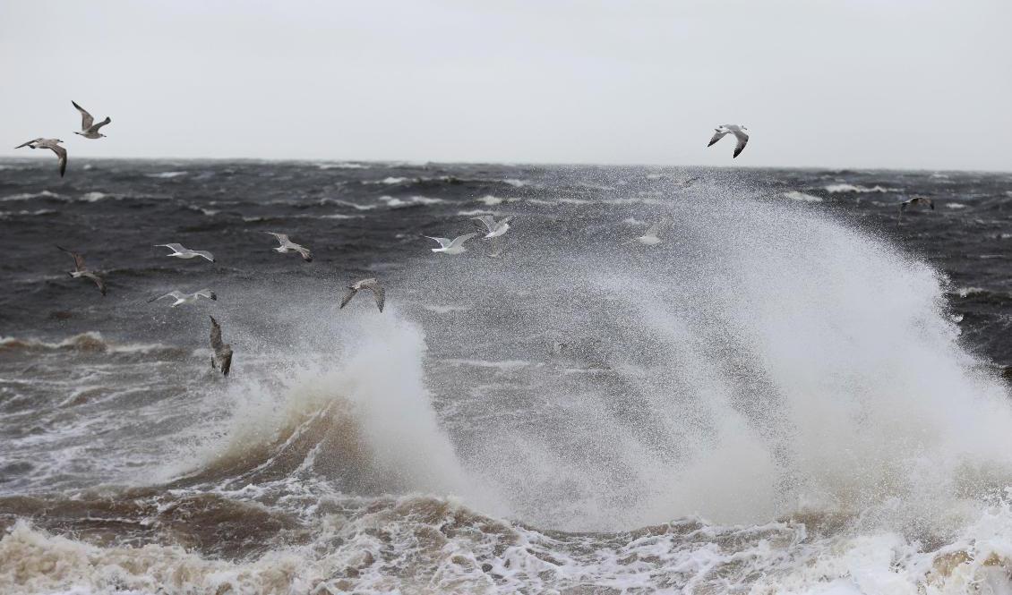 SMHI utfärdar klass 1-varningar. Arkivbild. Foto: Adam Ihse/TT