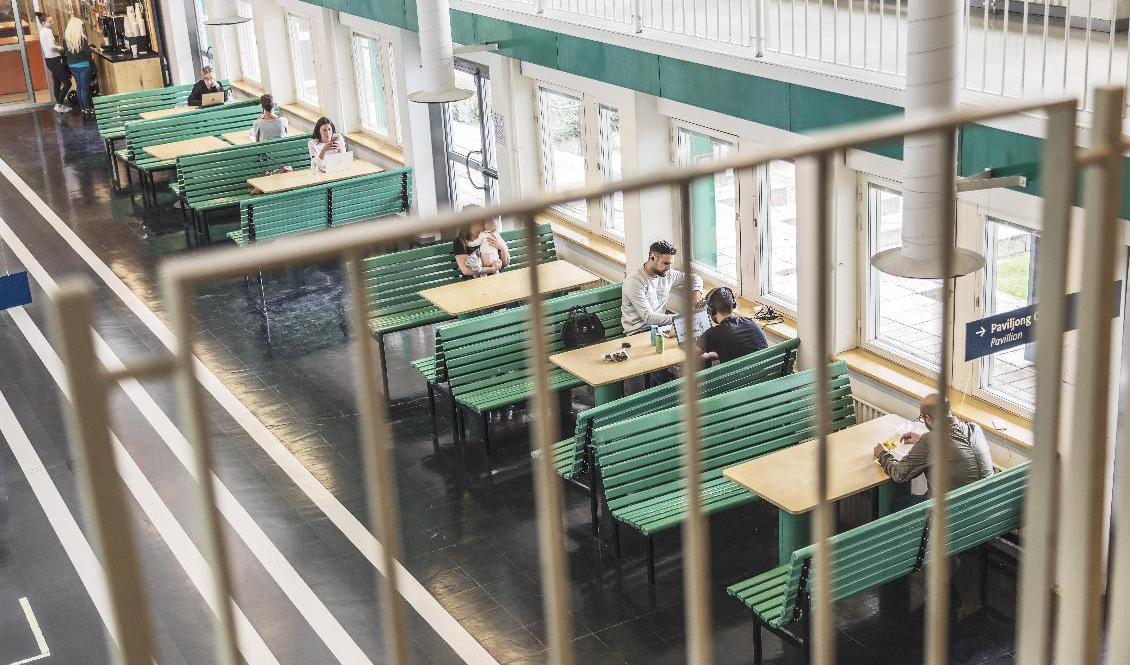 Närmare 260|000 personer vill plugga vid Stockholms universitet (bilden) eller något annat lärosäte i vår. Arkivbild. Foto: Veronica Johansson/SvD/TT