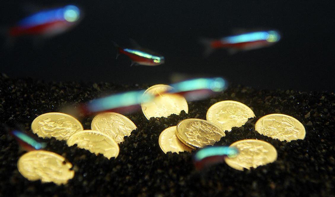 Guldet har strötts över kommunerna under pandemin – nu slipper de flesta höja skatterna. Arkivbild. Foto: Lars Pehrson/SvD/TT