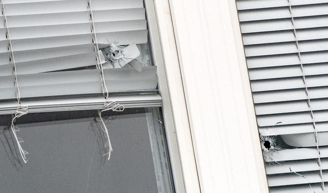 Skotthål i rutorna till en lägenhet i Håkanstorp i Malmö. Foto: Johan Nilsson/TT