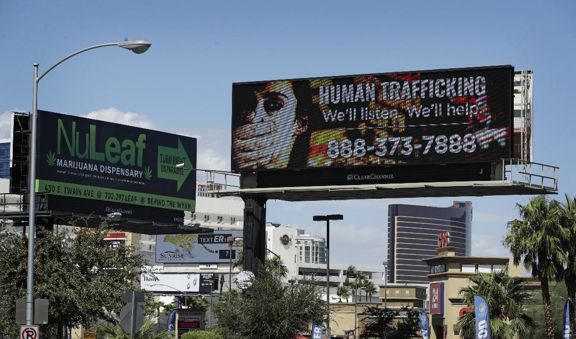 En skylt med numret till amerikanska National Human Trafficking Hotline i Las Vegas, USA. Arkivbild. Foto: John Locher/AP/TT