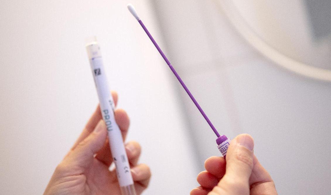 Region Stockholm återupptar hemtester för covid-19 den 5 november. Arkivbild. Foto: Johan Nilsson/TT