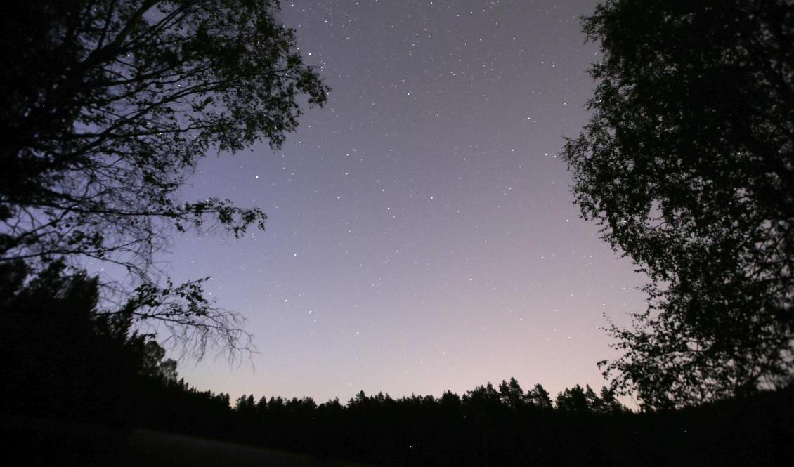 Rymdstenen som lyste upp natthimlen över delar av Sverige förra lördagen var betydligt större än forskarna först trodde. Arkivbild på normal natthimmel. Foto: Ruud, Vidar/TT