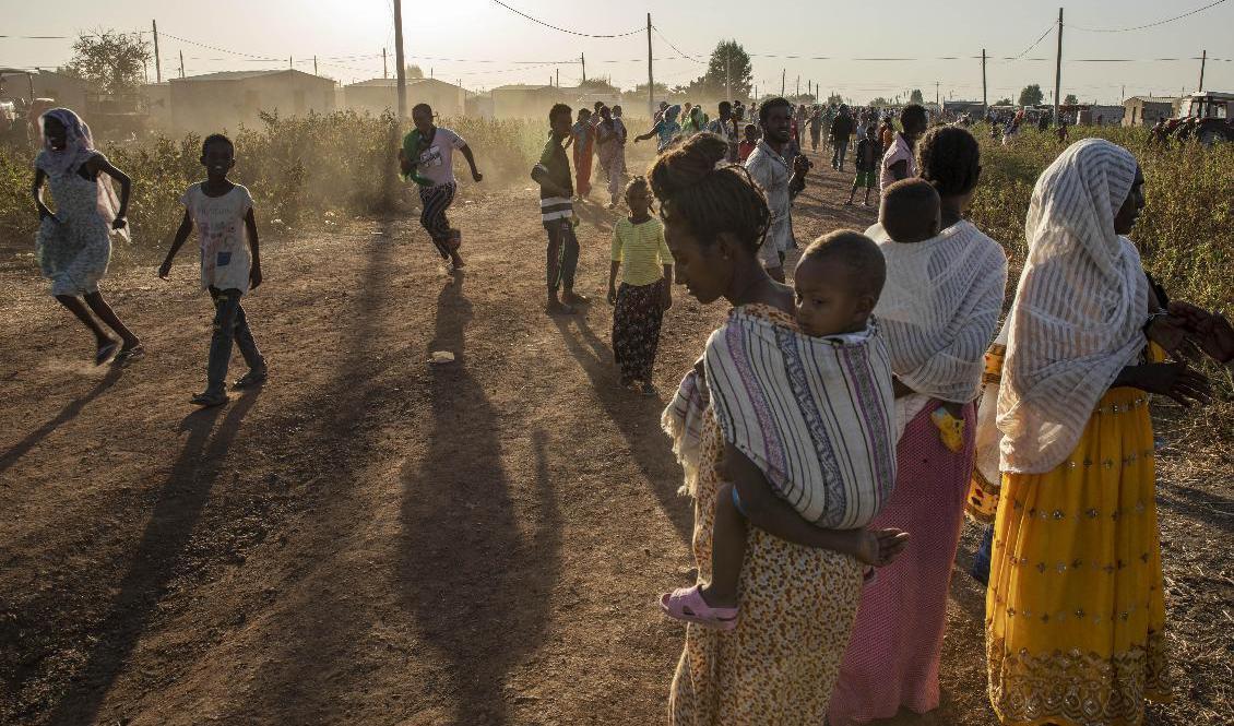 
Flyende från Tigray i transitområdet "Village 8", nära etiopiska gränsen i Sudan, på söndagen. Foto: Nariman al-Mofty/AP/TT                                            