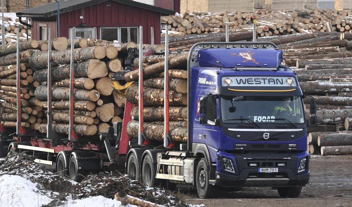 En timmertransport på väg. Arkivbild. Foto: Fredrik Sandberg/TT