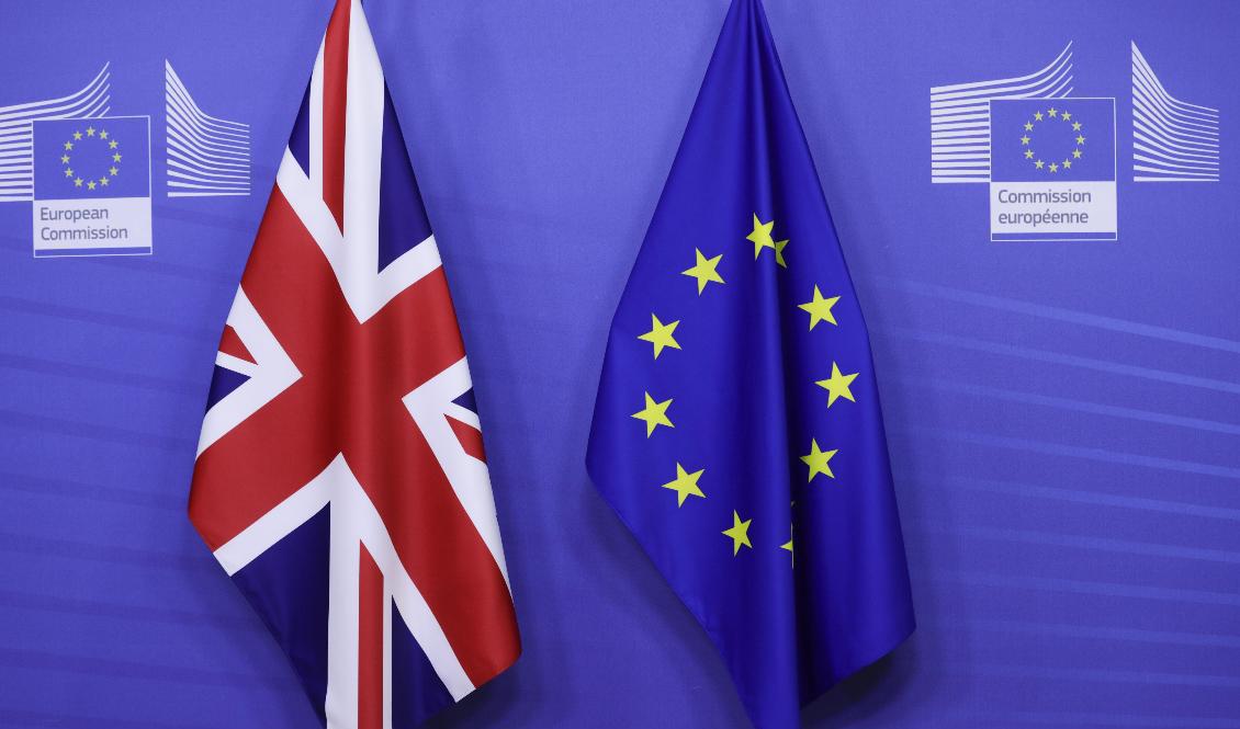 Brexitförhandlingarna pågår in i det sista. Foto: Olivier Hoslet/AP/TT