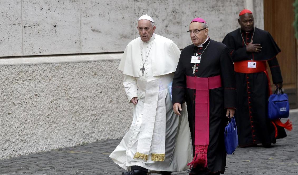 Belarusiske ärkebiskopen Tadeusz Kondrusiewicz, i svart och cerise, i samtal med påve Franciskus för två år sedan. Påven har nu bistått honom för att få komma hem till jul. Foto: Alessandra Tarantino/AP/TT