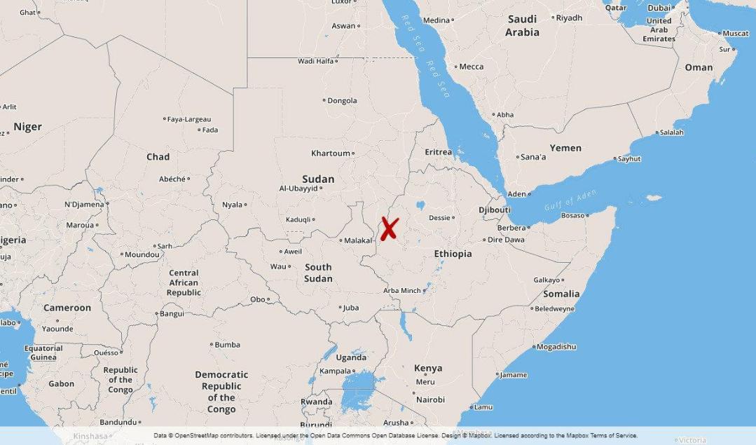 Dödssiffran från veckans attack i den västliga regionen Benishangul-Gumuz i Etiopien har stigit till minst 222. Foto: TT