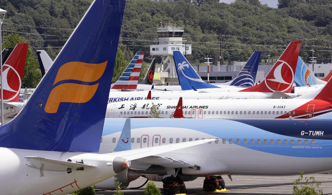 Ett antal 737 Max-flygplan med flygförbud från olika flygbolag parkerade nära Boeing-anläggningen i Seattle i USA i juni 2019. Foto: Elaine Thompson/AP/TT