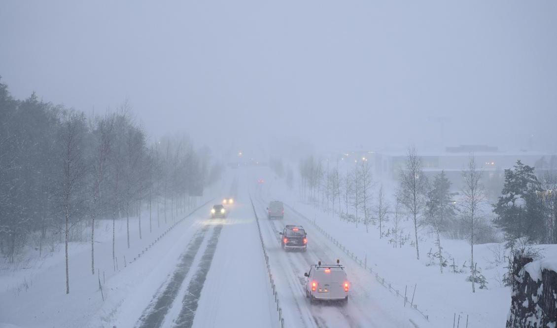 Trafik på E4 genom Umeå under tisdagen. Foto: Erik Abel/TT
