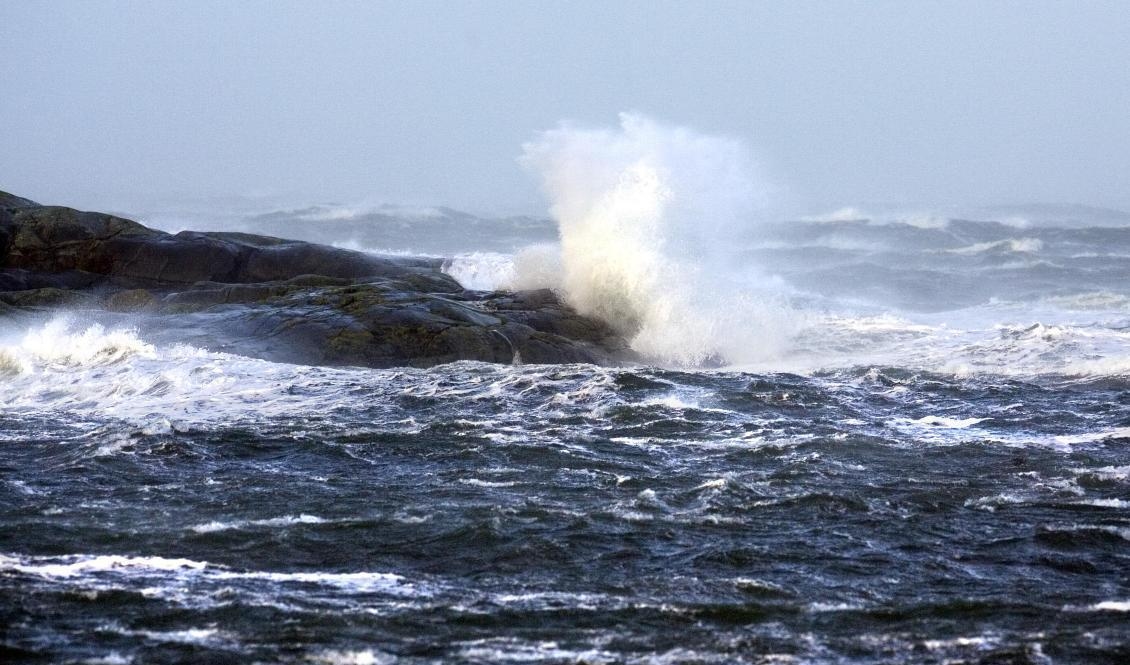 Miljömålsberedningen föreslår en omfattande havsmiljölag. Arkivbild. Foto: Björn Larsson Rosvall/TT