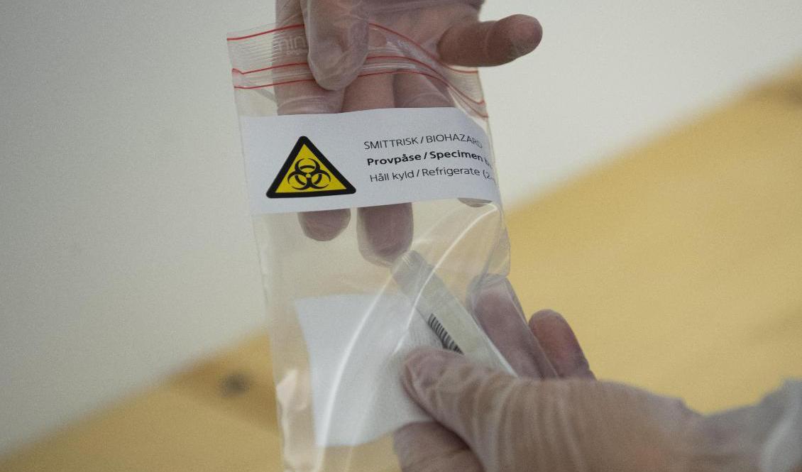 Ett så kallat PCR-test för covid-19. Arkivbild. Foto: Fredrik Sandberg/TT