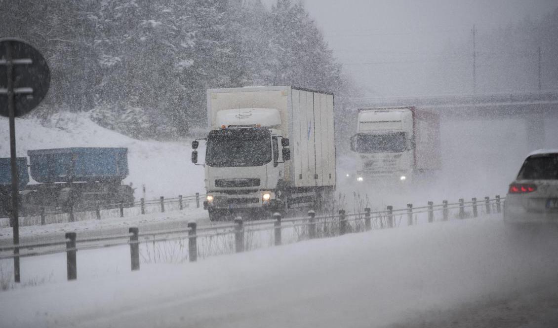 Mer snö väntas i östra Svealand. Arkivbild Foto: Fredrik Sandberg/TT