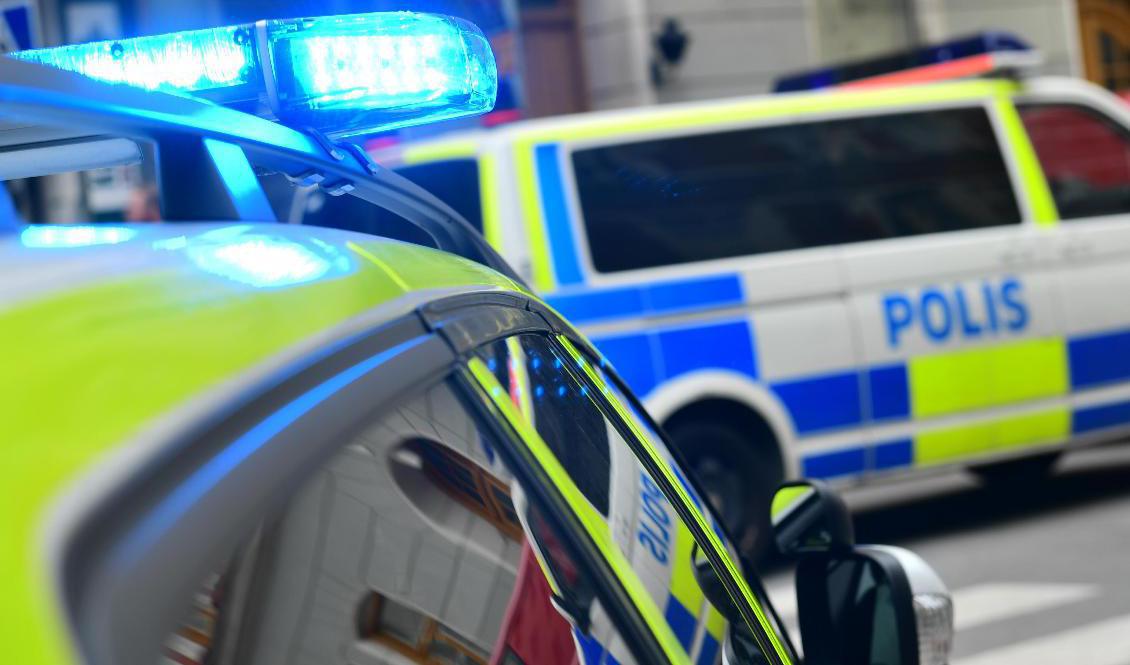 Polisen i Malmö avbröt på fredagen ett födelsedagsfirande i en festlokal efter att det kommit larm om bråk. Arkivbild. Foto: Stina Stjernkvist/TT