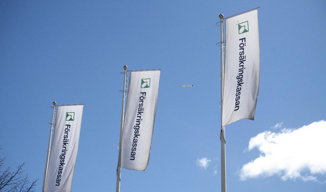Försäkringskassan se över sin förvaltning av sjukförsäkringen. Arkivbild. Foto: Jessica Gow/TT