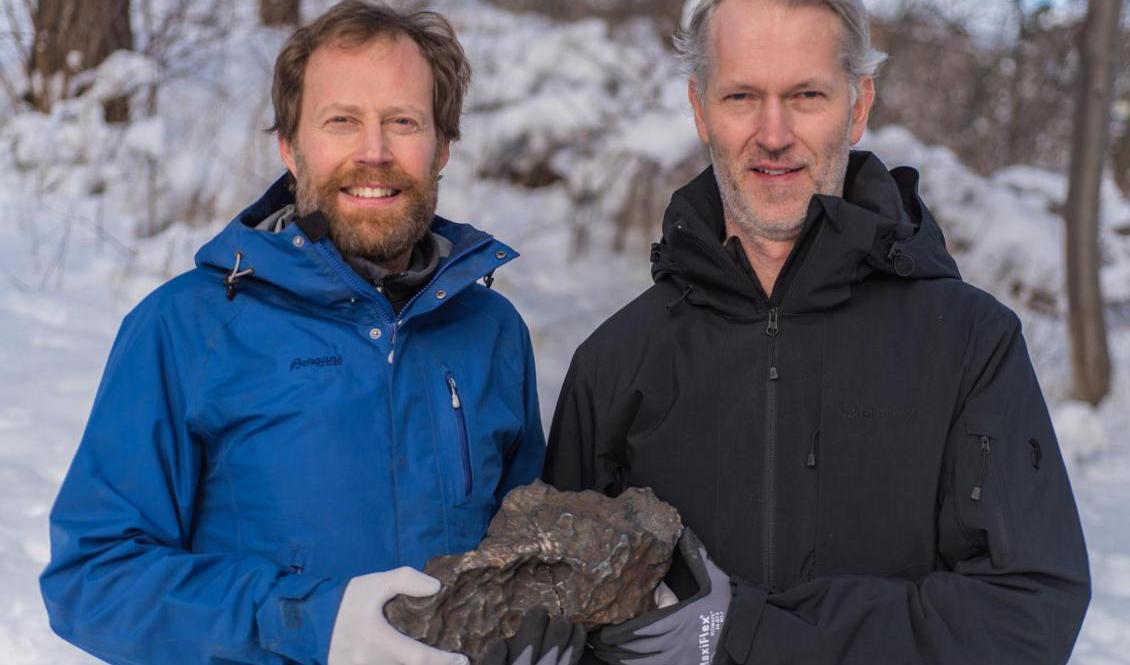 Här är huvudstycket från det observerade meteoritfallet den 7 november 2020. Det väger 14 kilogram och hittades utanför Enköping av Andreas Forsberg och Anders Zetterqvist. Foto: Naturhistoriska riksmuseet/Handout/TT