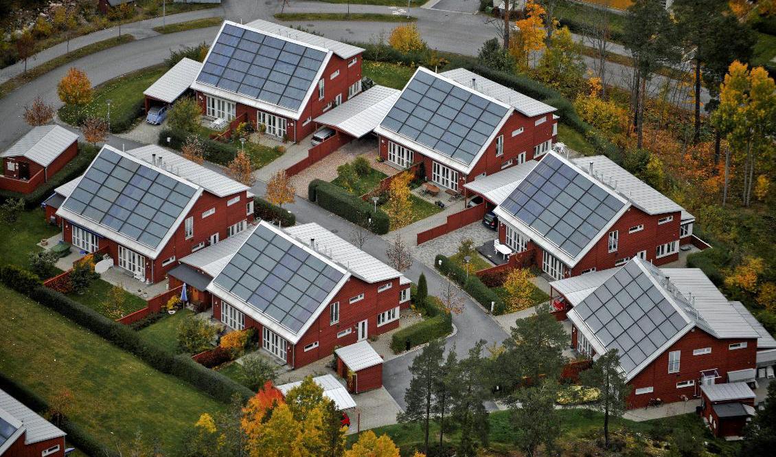 Solpaneler kan enligt en ny rapport slå ut jordfelsbrytare. Arkivbild. Foto: Bertil Ericson / TT