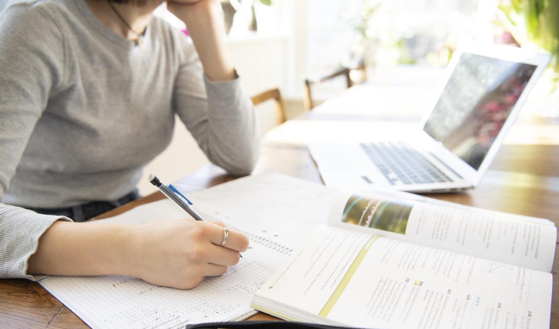Antalet disciplinärenden bland studenter har ökat kraftigt under coronapandemin. Arkivbild. Foto: Henrik Montgomery/TT