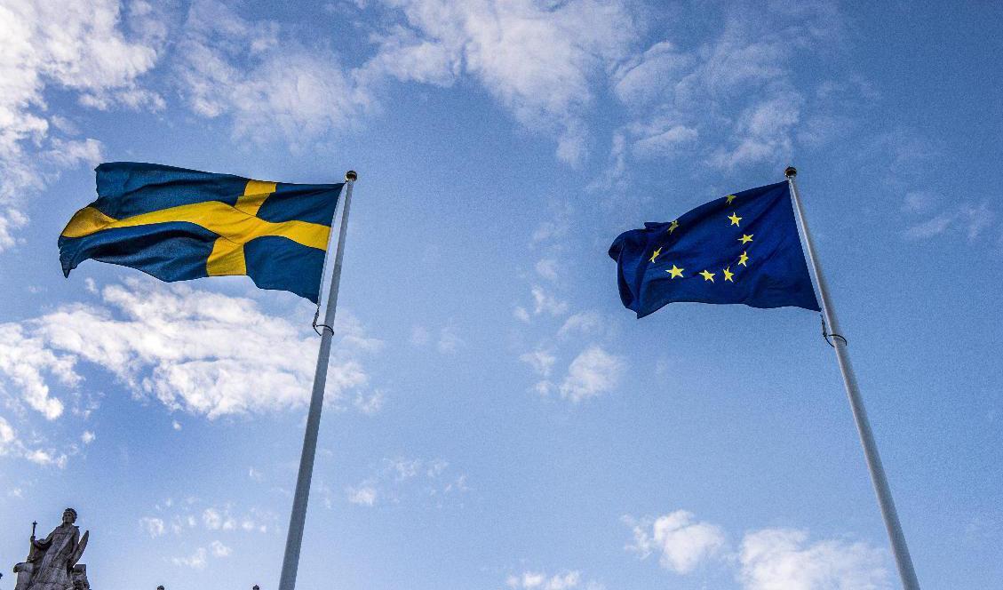 Svenska flaggan och EU-flaggan. Arkivbild. Foto: Lars Pehrson/SvD/TT