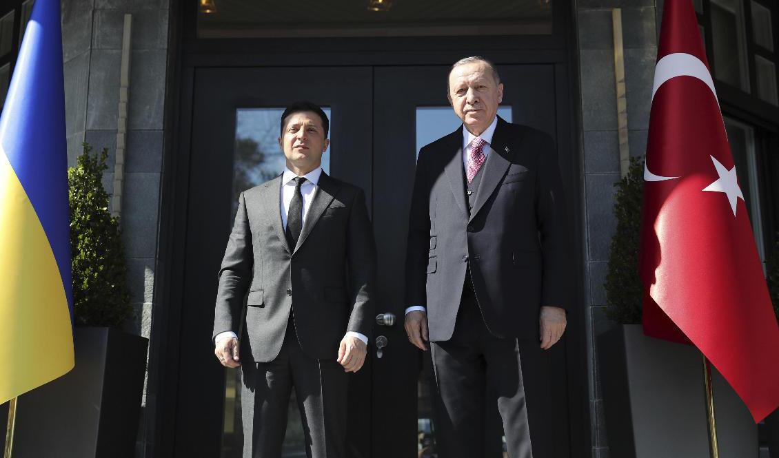 Ukrainas president Volodymyr Zelenskyj, till vänster, var i Turkiet på lördagen och besökte den turkiske presidenten Recep Tayyip Erdogan. Foto: AP/TT