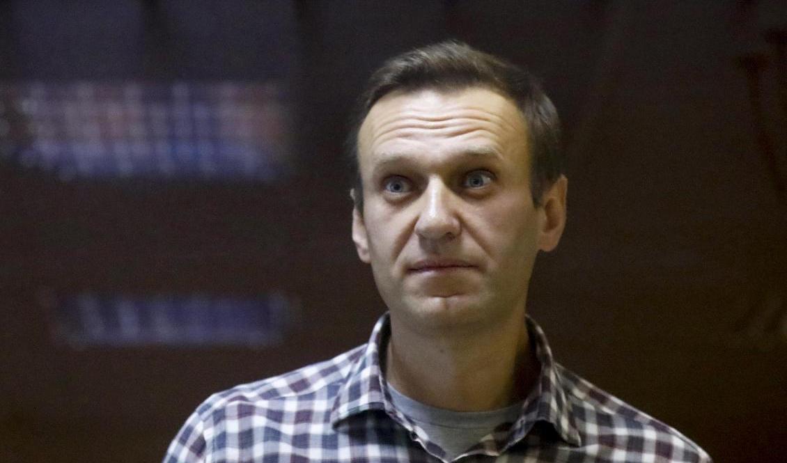 Den ryske oppositionspolitikern Aleksej Navalnyj i domstol i Moskva den 20 februari. Foto: Alexander Zemlianichenko/AP/TT